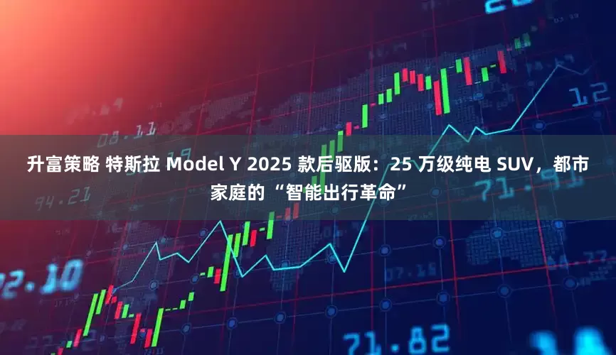 升富策略 特斯拉 Model Y 2025 款后驱版：25 万级纯电 SUV，都市家庭的 “智能出行革命”